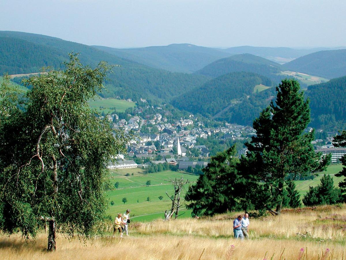Ferienwohnung Nelly Am Kurpark Willingen  Extérieur photo
