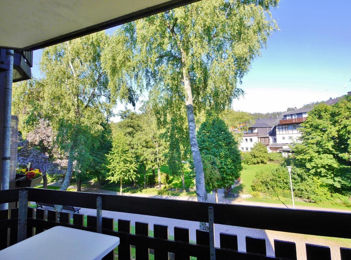 Ferienwohnung Nelly Am Kurpark Willingen  Extérieur photo