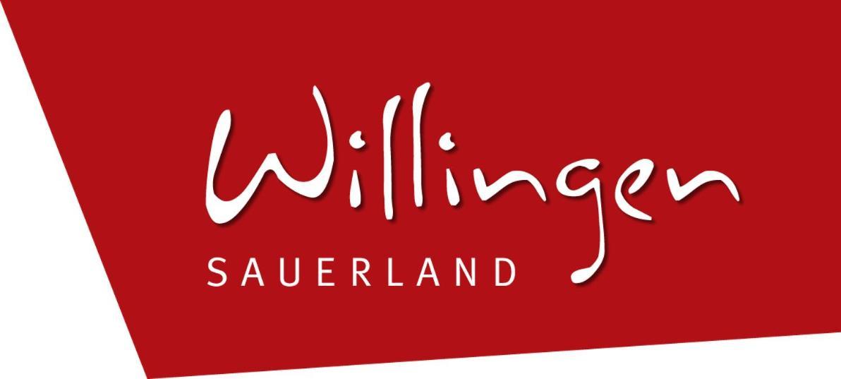 Ferienwohnung Nelly Am Kurpark Willingen  Extérieur photo